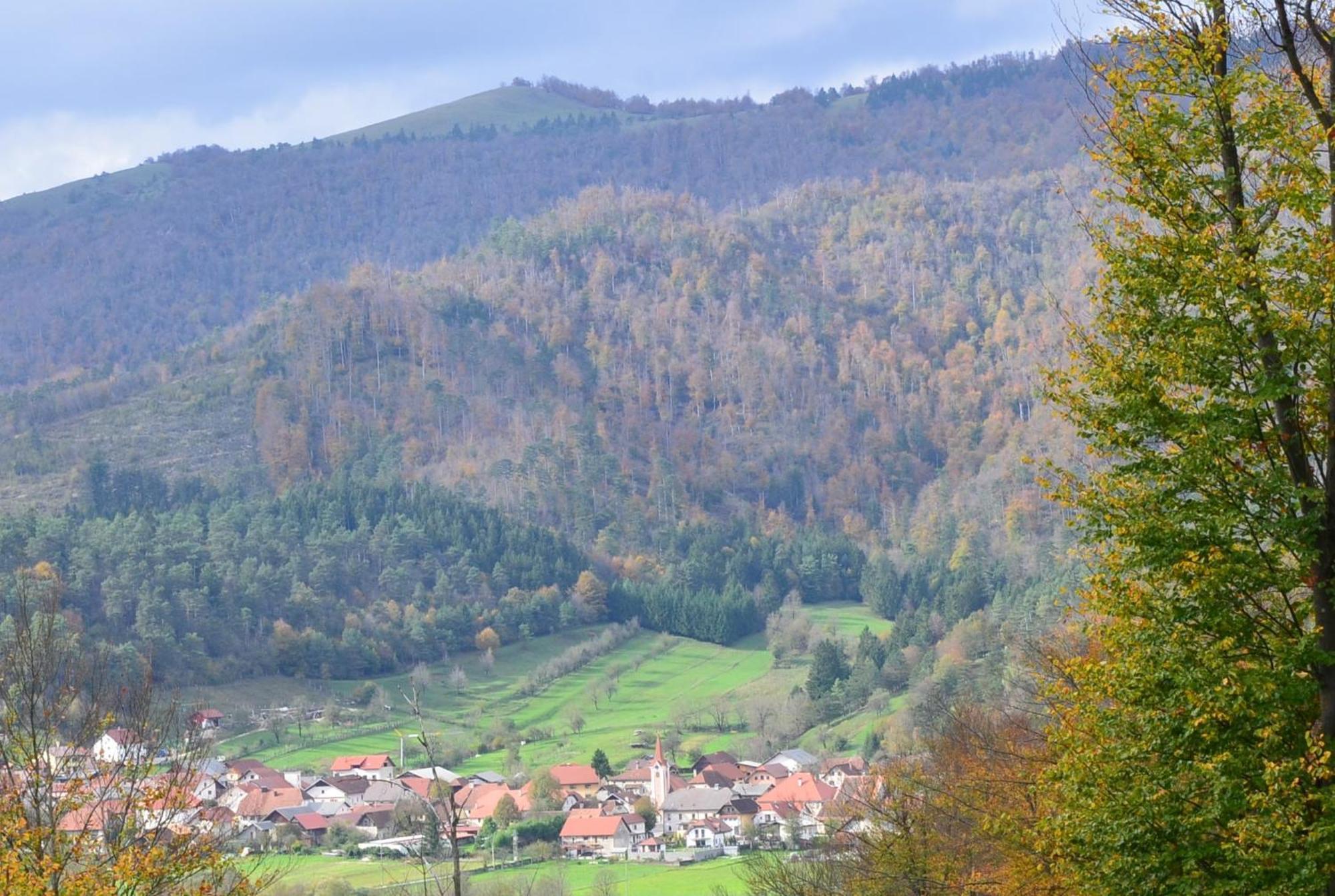 Villa Hisa Haasberg Planina  Exterior foto