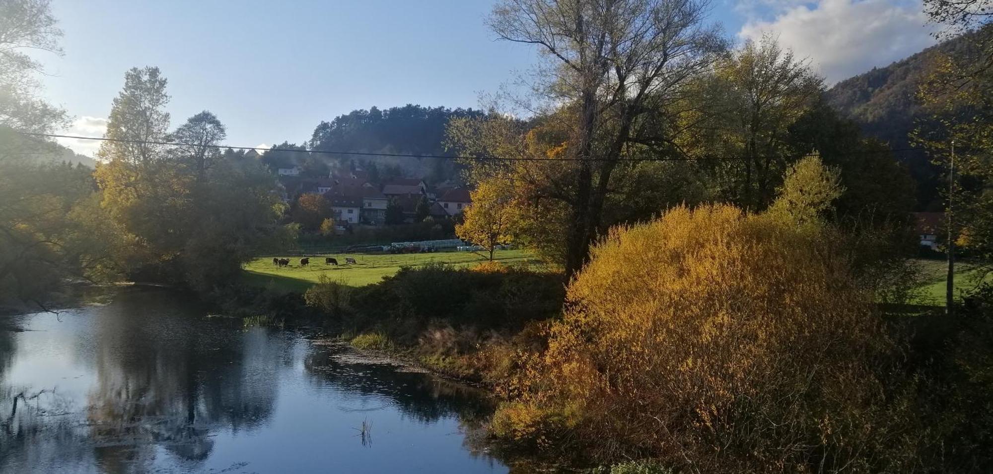 Villa Hisa Haasberg Planina  Exterior foto
